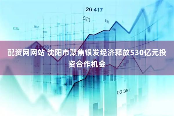 配资网网站 沈阳市聚焦银发经济释放530亿元投资合作机会
