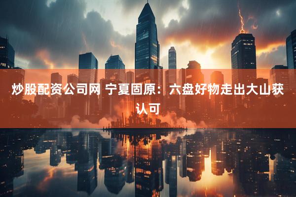 炒股配资公司网 宁夏固原：六盘好物走出大山获认可