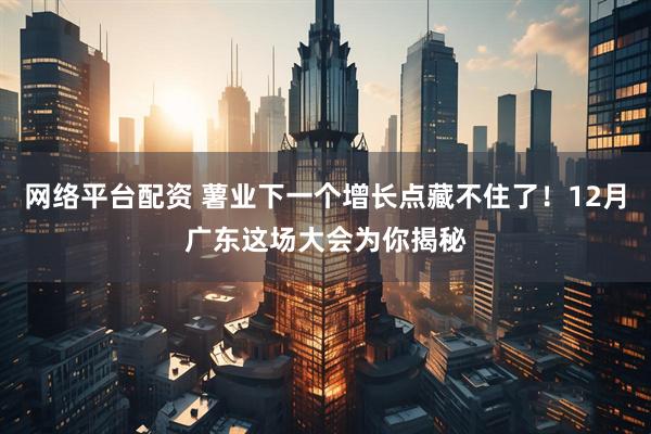 网络平台配资 薯业下一个增长点藏不住了！12月广东这场大会为你揭秘